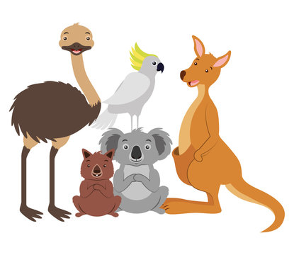kangaroo koala wombat cockatoo and emu