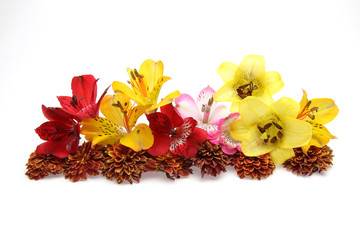 菊、ユリとアルストロメリア