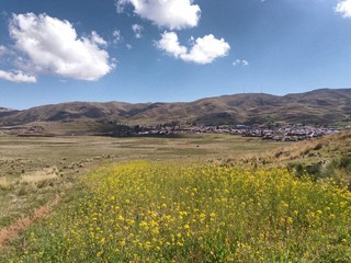 nearby yellow flowers and green meadow with distant mountains, blue sky background, gray location,...