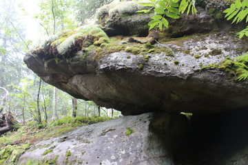 photo landscape of forest and stones on the mountain