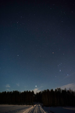 Orion constellation and Sirius above forest in winter sky.