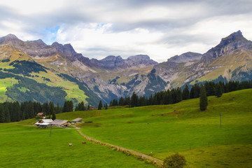 Fototapeta na wymiar Swiss Country home in Mountain 