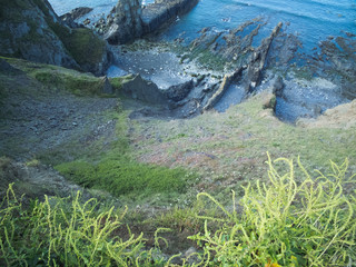 cornwall coast