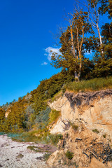 Trees and roots in the Baltic Sea cliff at the Baltic Sea.