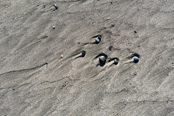 Fototapeta na wymiar Rocks in the Sand on the Pacific Coast