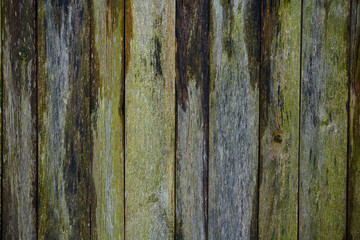 The texture of an old wheathered wooden fence or wall, background