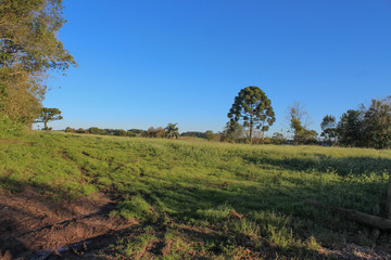 Lapa, Paraná