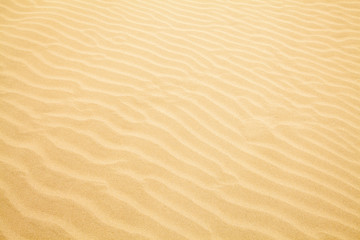 Fototapeta na wymiar Sand Ripple Wave Background.