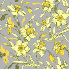 Botanical seamless pattern with hand drawn flowers daffodils, narcissus.