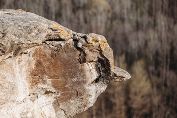 view of a beautiful stone of unusual shape in the form of a bird on the mountainside