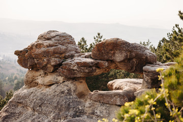 view of spring forest, through the hole of the rock