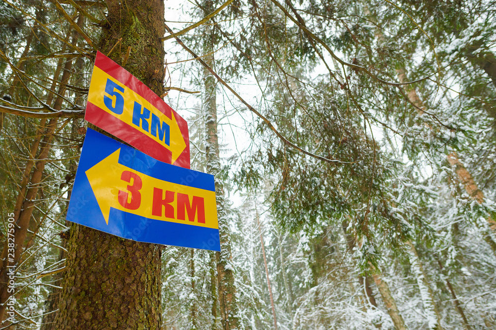 Wall mural direction signs with yellow arrows to three and five kilometers on a winter forest background