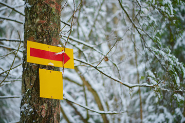 Yellow direction sign with blank and red  arrow on winter forest background