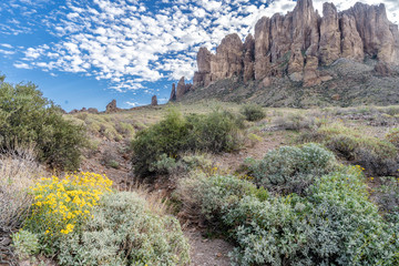 The cliffs above the flowers in the desert