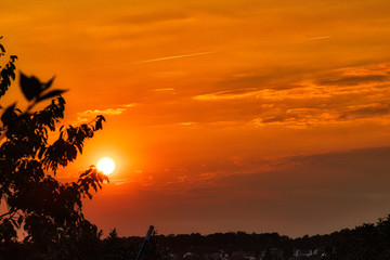 Sonnenuntergang im Saarland - Sonne scheint an Strauch vorbei
