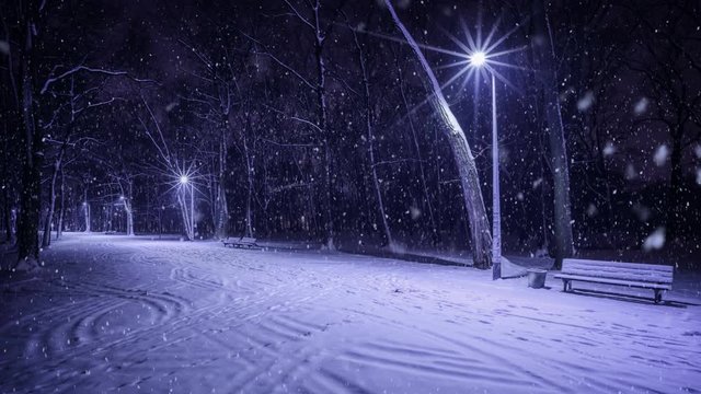 snowy alley in a park at a winter night with falling snow (loop)