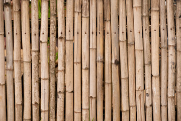Fototapeta premium Dry bamboo that is arranged in the background