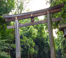 tokyo city historical temples