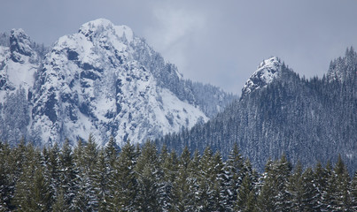 mountains in winter