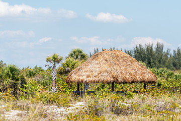 Fototapeta na wymiar Sanibel Island, Florida, USA Bowman's beach with pavilion picnic camping area, grass green plants, nobody during sunny day, straw hut