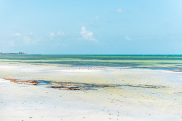 Key West, USA pier park landscape in Florida at ocean, sea near beach, coast, coastline, shallow...