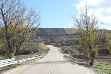 A paved two ways street going into the Aragonese countryside hills, with bare trees and green...