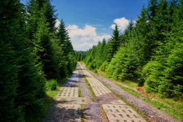 Grenzweg Brocken in national park Harz