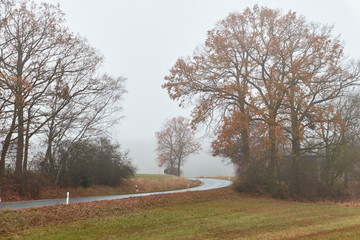 Obraz premium Straße im Nebel, Herbst