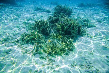Beautiful abstract background / texture of underwater view of white sand bottom and blue water. Snorkeling, Maldives, Indian Ocean.	