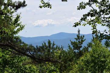 trees and sky and mountains