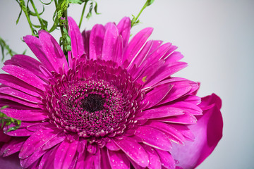 Flor de color rosa mexicano