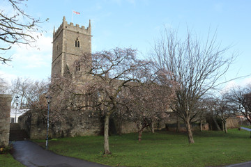 The abandoned rumbled Saint Peter's Church with its bell tower in the Castle Park, with bare trees during winter, in Bristol, United Kingdom
