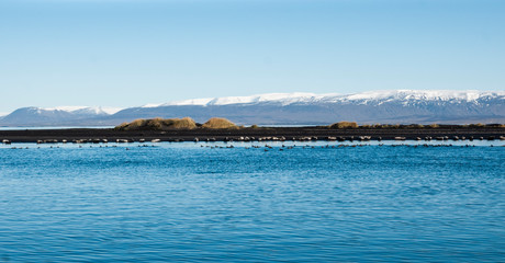 Relaxing landscape to calm down and relieve stress, blue lake with serene and calm waters in the middle of wild nature.