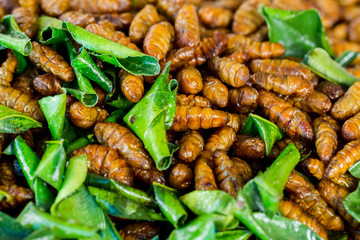 fried bug with kaffir lime leaf
