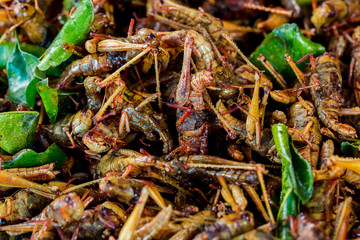 grasshopper fried or fried bug with kaffir lime leaf