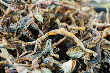 Fried little frogs fast food high protein in Asia