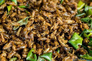 Cricketsfried or fried bug with kaffir lime leaf
