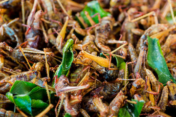 grasshopper fried or fried bug with kaffir lime leaf