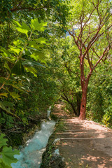 Water running, stairs and trees