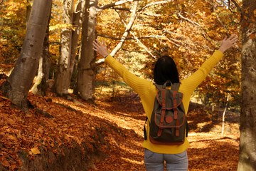 Naklejka na ściany i meble Woman with backpack walking in autumn forest. Space for text