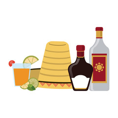 Tequila mexican drink