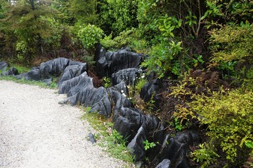 Fototapeta premium Takaka Marble and Lush Greenery lining the Walking Trail to Hawkes Lookout on Takaka Hill, South Island, New Zealand