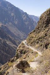 canyon mountain landscape with river
