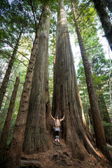 Kids Hiking at Lady Bird Johnson Grove Trail California Redwoods