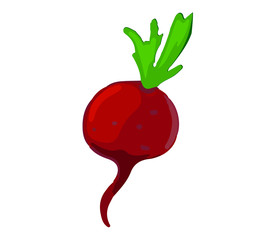 Beet