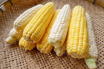 Pure white and Yellow corn, on threshing basket, Product of Thailand