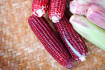Siam Ruby Queen Corn or Red sweet corn. Similar to the color of ruby. Can be eaten fresh raw, King of corn family thailand fruit.