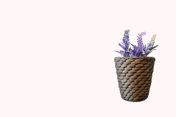 Fototapeta na wymiar Flowers on a wooden handmade basket, Basketweave for home decor isolated on rose pink background, clipping path.