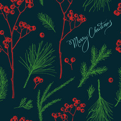 Seamless pattern with colored rowan, lettering, pine branch, spruce, redwood