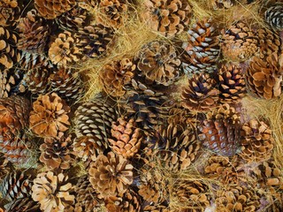 many pine cones wreath material
